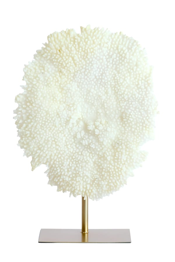 Light & Living Accessories Ornament on base 46x20x69 cm CORAL cream+antique bronze House of Isabella UK