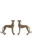 Light & Living Accessories Ornament S/2 17x8x18+17x8x18 cm DOGS antique bronze House of Isabella UK