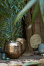 Light & Living Accessories Pot deco 40x37 cm LOUIE antique gold House of Isabella UK
