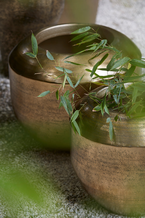 Light & Living Accessories Pot deco 53x41 cm LOUIE antique gold House of Isabella UK