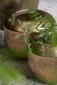 Light & Living Accessories Pot deco 53x41 cm LOUIE antique gold House of Isabella UK