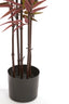 Light & Living Accessories Potted ornament 70x60x120 cm BAMBOO natural+green-red House of Isabella UK