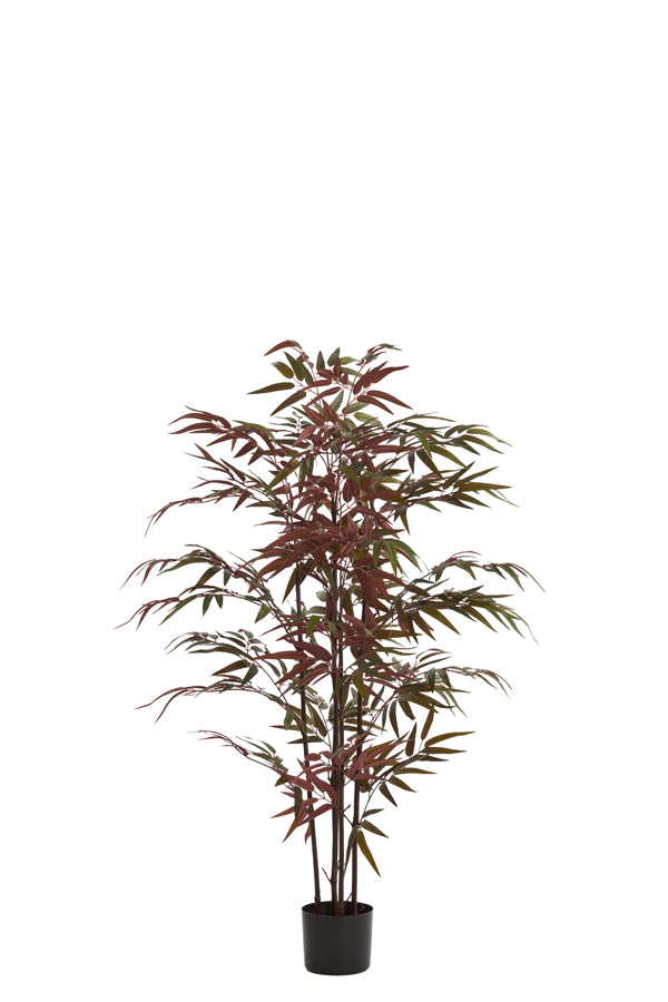 Light & Living Accessories Potted ornament 70x60x120 cm BAMBOO natural+green-red House of Isabella UK