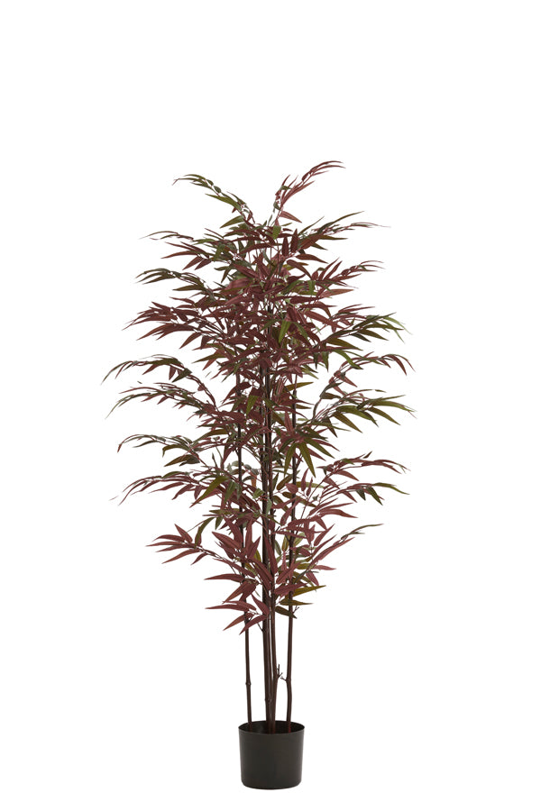 Light & Living Accessories Potted ornament 70x60x150 cm BAMBOO natural+green-red House of Isabella UK