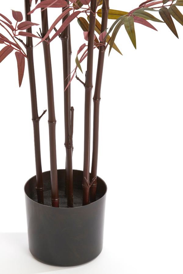 Light & Living Accessories Potted ornament 70x60x180 cm BAMBOO natural+green-red House of Isabella UK