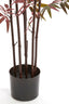 Light & Living Accessories Potted ornament 70x60x180 cm BAMBOO natural+green-red House of Isabella UK