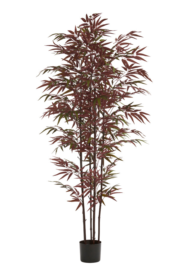 Light & Living Accessories Potted ornament 70x60x180 cm BAMBOO natural+green-red House of Isabella UK