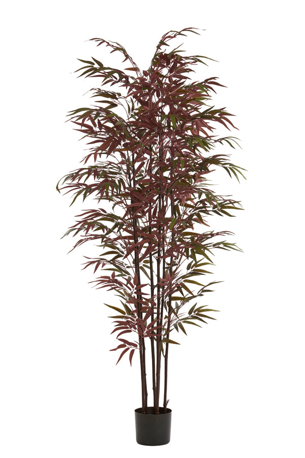 Light & Living Accessories Potted ornament 70x60x180 cm BAMBOO natural+green-red House of Isabella UK