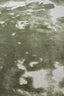 Light & Living Accessories Rug 300x200 cm SJORS olive green+light grey House of Isabella UK