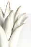 Light & Living Accessories Tealight 13x15 cm CACTUS ceramics cream House of Isabella UK