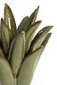 Light & Living Accessories Tealight 13x15 cm CACTUS ceramics dark green House of Isabella UK