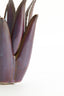 Light & Living Accessories Tealight 13x15 cm CACTUS ceramics dark purple House of Isabella UK
