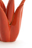Light & Living Accessories Tealight 13x15 cm CACTUS ceramics orange House of Isabella UK