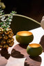 Light & Living Accessories Tealight 15x9 cm RAPALLO matt olive green+gold House of Isabella UK