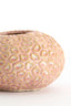 Light & Living Accessories Tealight 16,5x9,5 cm CAREZZA ceramics light pink House of Isabella UK