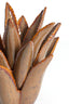 Light & Living Accessories Tealight 21x21 cm CACTUS ceramics brown-grey House of Isabella UK