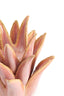 Light & Living Accessories Tealight 21x21 cm CACTUS ceramics coral House of Isabella UK