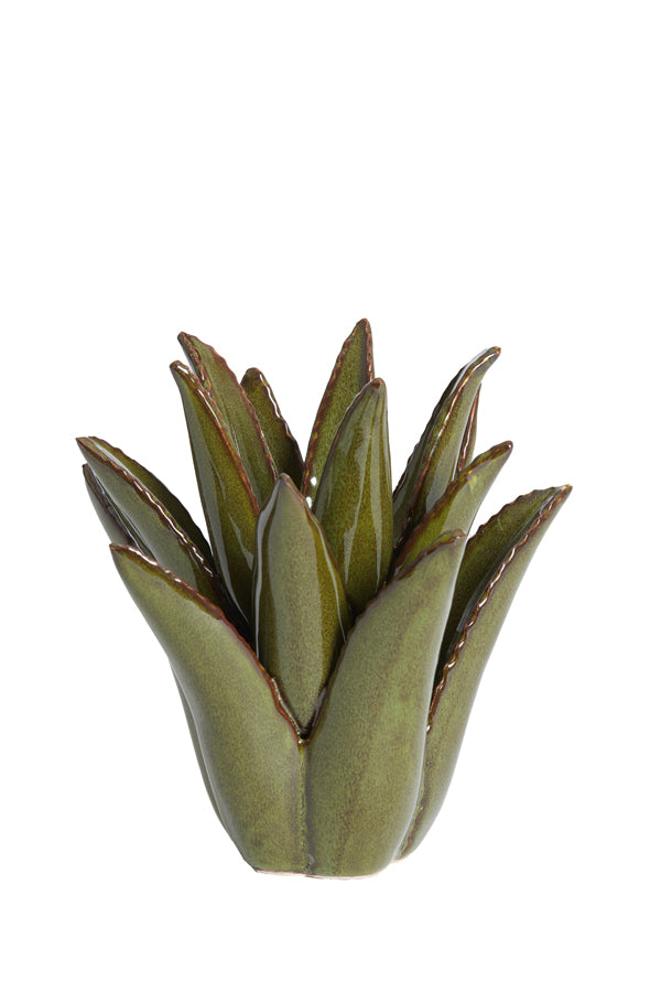 Light & Living Accessories Tealight 21x21 cm CACTUS ceramics dark green House of Isabella UK