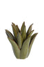 Light & Living Accessories Tealight 21x21 cm CACTUS ceramics dark green House of Isabella UK