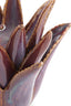 Light & Living Accessories Tealight 21x21 cm CACTUS ceramics dark purple House of Isabella UK