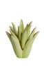 Light & Living Accessories Tealight 21x21 cm CACTUS ceramics light green House of Isabella UK