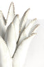 Light & Living Accessories Tealight 24,5x23 cm CACTUS ceramics cream House of Isabella UK