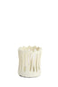 Light & Living Accessories Tealight 8,5x10 cm TIVOLI matt cream House of Isabella UK