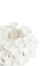 Light & Living Accessories Tealight holder 10,5x7,5 cm DELARA porcelain cream House of Isabella UK
