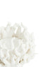 Light & Living Accessories Tealight holder 11x8 cm EDESSA porcelain cream House of Isabella UK