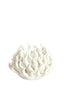 Light & Living Accessories Tealight holder 11x8 cm EDESSA porcelain cream House of Isabella UK