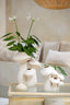 Light & Living Accessories Tealight holder 12x7 cm SEA URCHIN cream House of Isabella UK