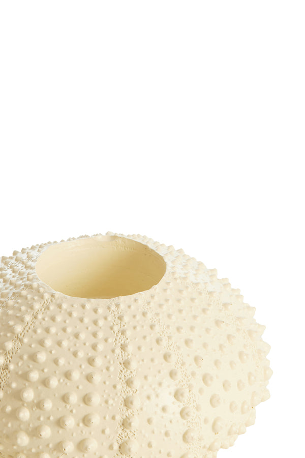 Light & Living Accessories Tealight holder 12x7 cm SEA URCHIN cream House of Isabella UK