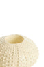 Light & Living Accessories Tealight holder 12x7 cm SEA URCHIN cream House of Isabella UK