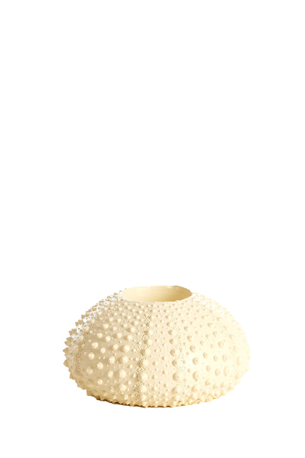 Light & Living Accessories Tealight holder 12x7 cm SEA URCHIN cream House of Isabella UK