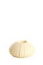Light & Living Accessories Tealight holder 12x7 cm SEA URCHIN cream House of Isabella UK