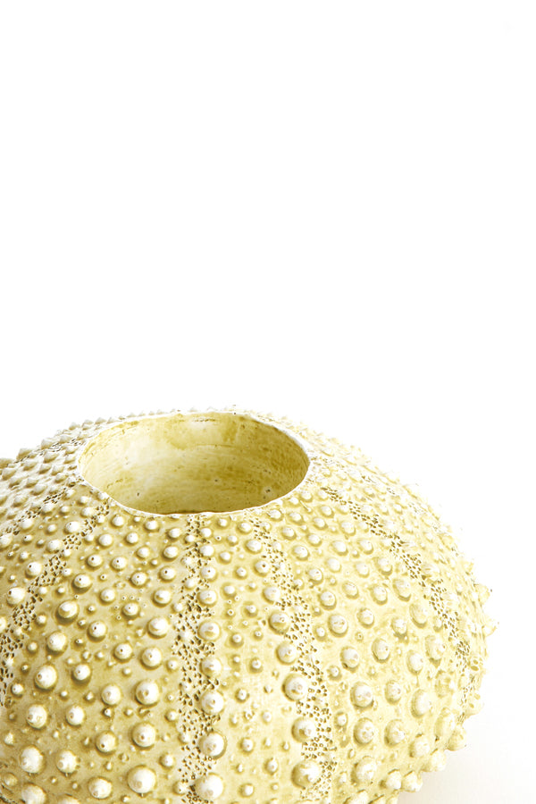 Light & Living Accessories Tealight holder 12x7 cm SEA URCHIN green House of Isabella UK