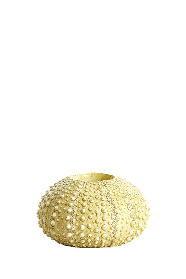 Light & Living Accessories Tealight holder 12x7 cm SEA URCHIN green House of Isabella UK
