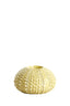 Light & Living Accessories Tealight holder 12x7 cm SEA URCHIN green House of Isabella UK
