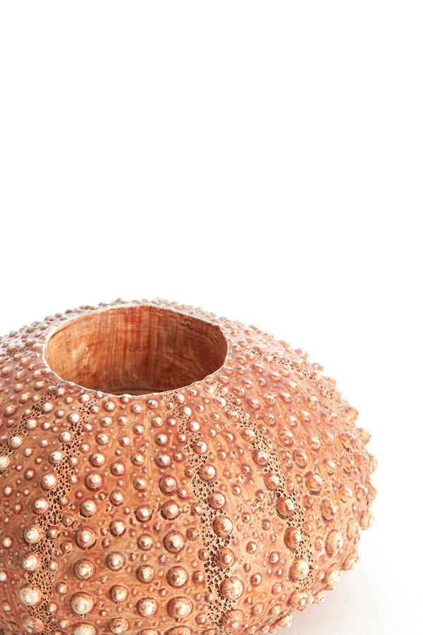 Light & Living Accessories Tealight holder 12x7 cm SEA URCHIN red House of Isabella UK