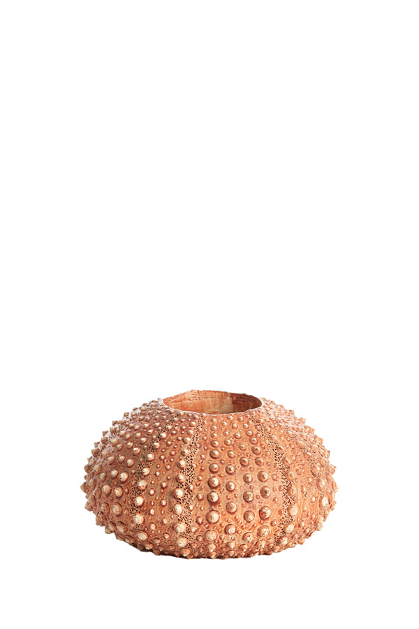 Light & Living Accessories Tealight holder 12x7 cm SEA URCHIN red House of Isabella UK