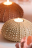 Light & Living Accessories Tealight holder 12x7 cm SEA URCHIN sand House of Isabella UK