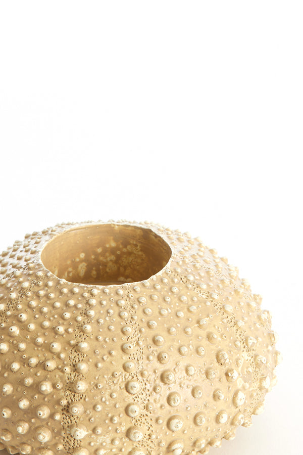 Light & Living Accessories Tealight holder 12x7 cm SEA URCHIN sand House of Isabella UK