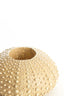 Light & Living Accessories Tealight holder 12x7 cm SEA URCHIN sand House of Isabella UK
