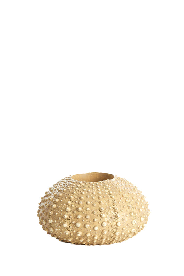 Light & Living Accessories Tealight holder 12x7 cm SEA URCHIN sand House of Isabella UK