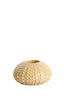 Light & Living Accessories Tealight holder 12x7 cm SEA URCHIN sand House of Isabella UK
