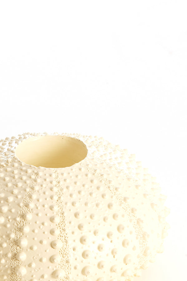 Light & Living Accessories Tealight holder 15x8 cm SEA URCHIN cream House of Isabella UK