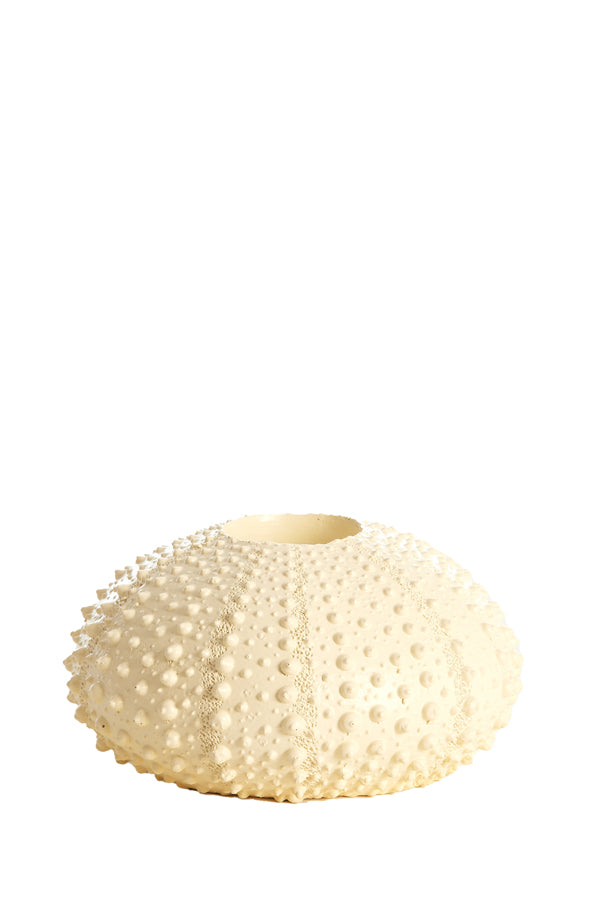 Light & Living Accessories Tealight holder 15x8 cm SEA URCHIN cream House of Isabella UK