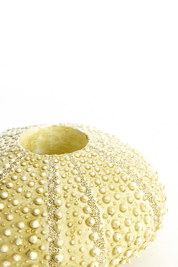 Light & Living Accessories Tealight holder 15x8 cm SEA URCHIN green House of Isabella UK