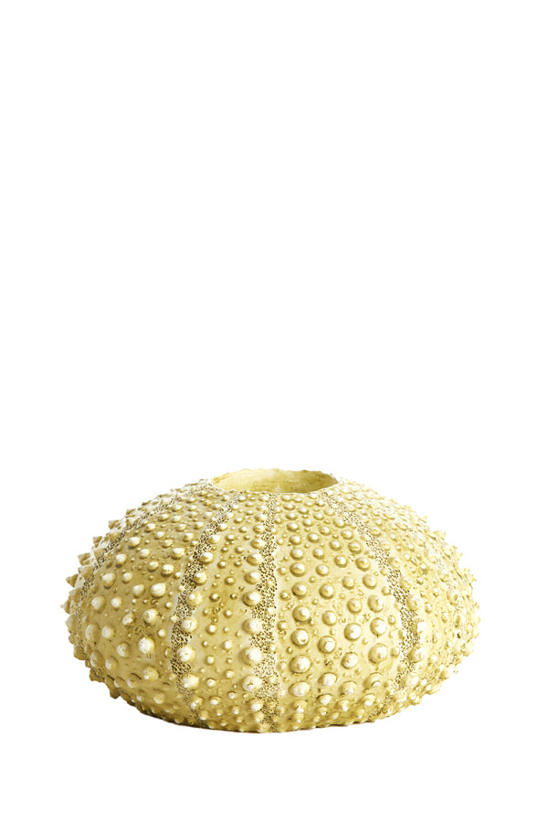 Light & Living Accessories Tealight holder 15x8 cm SEA URCHIN green House of Isabella UK