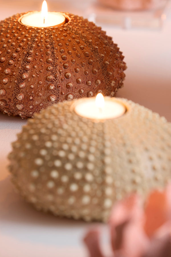 Light & Living Accessories Tealight holder 15x8 cm SEA URCHIN red House of Isabella UK